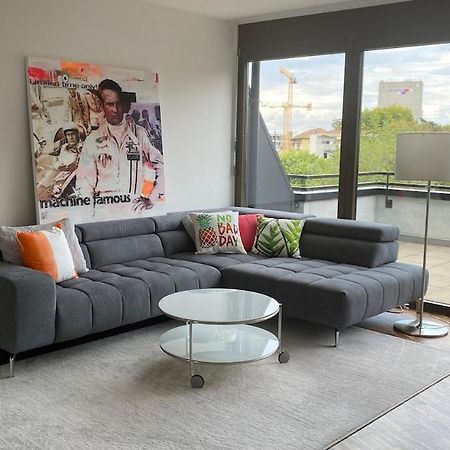 Penthouse 5 Room Duplex 3 Terraces, Near Center And Rhine Basel Eksteriør bilde