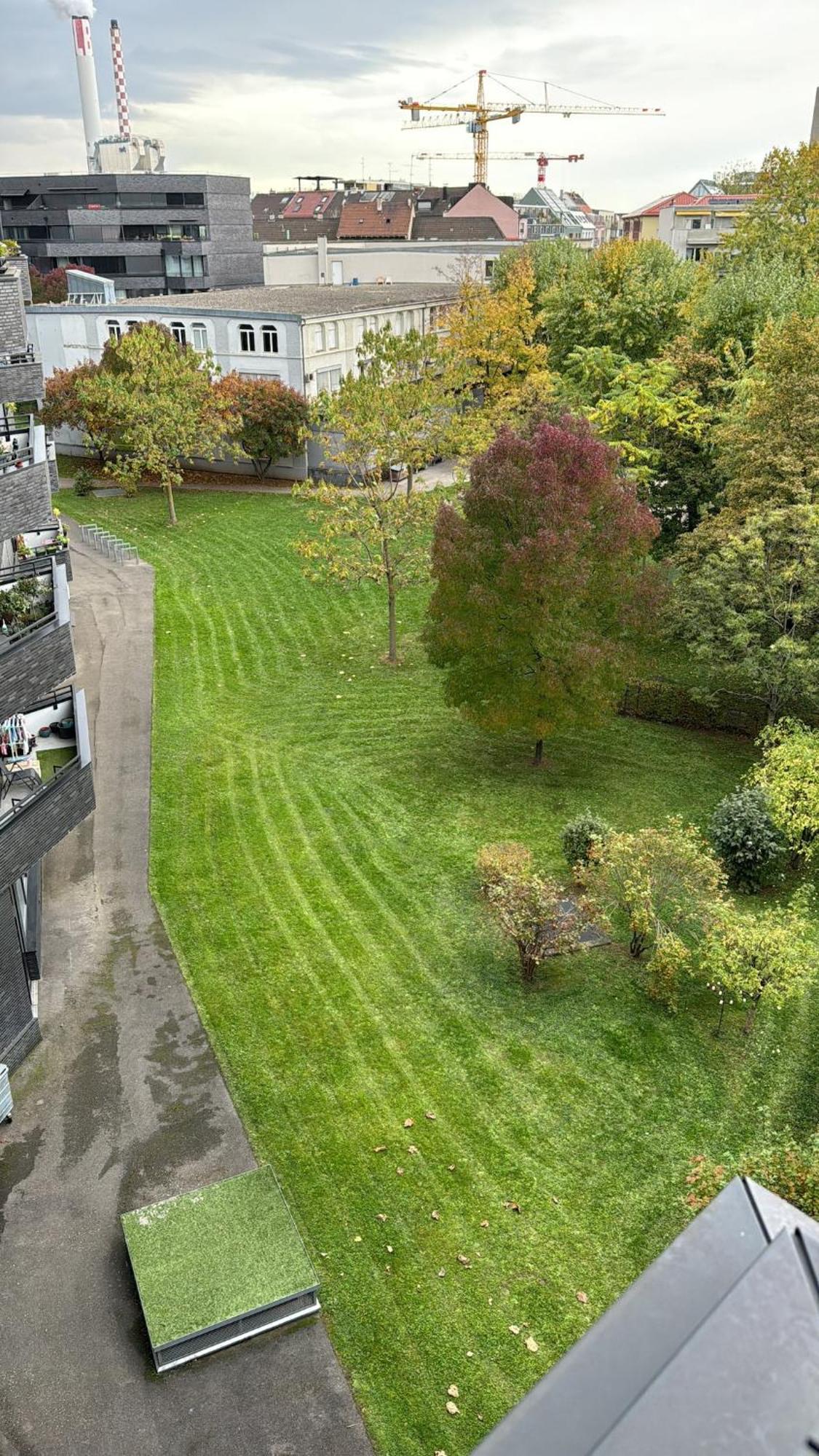 Penthouse 5 Room Duplex 3 Terraces, Near Center And Rhine Basel Eksteriør bilde