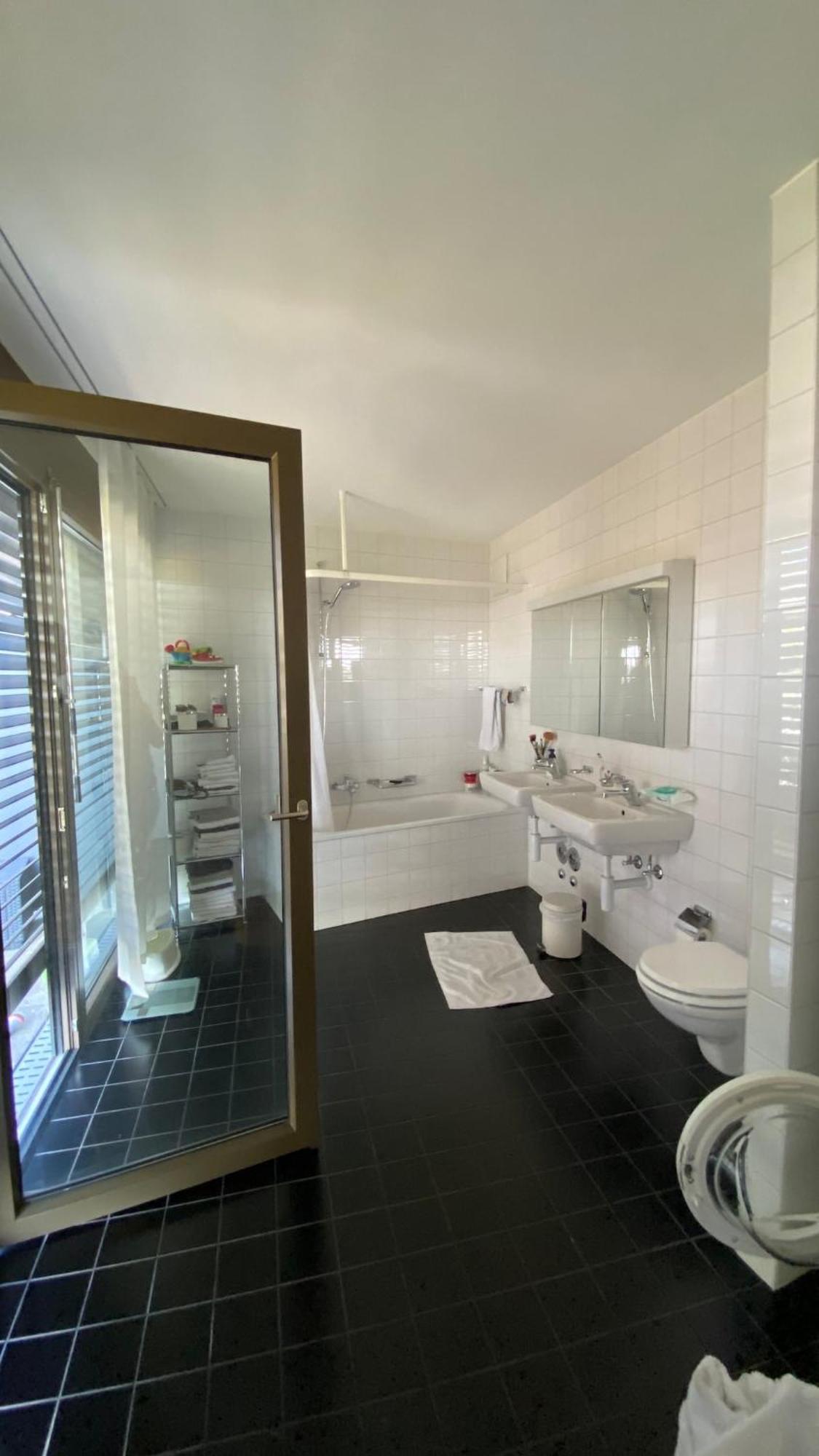 Penthouse 5 Room Duplex 3 Terraces, Near Center And Rhine Basel Eksteriør bilde