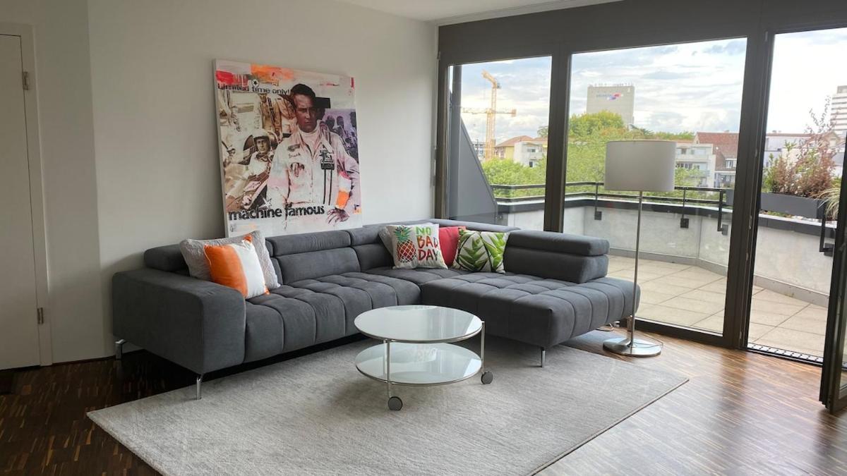 Penthouse 5 Room Duplex 3 Terraces, Near Center And Rhine Basel Eksteriør bilde