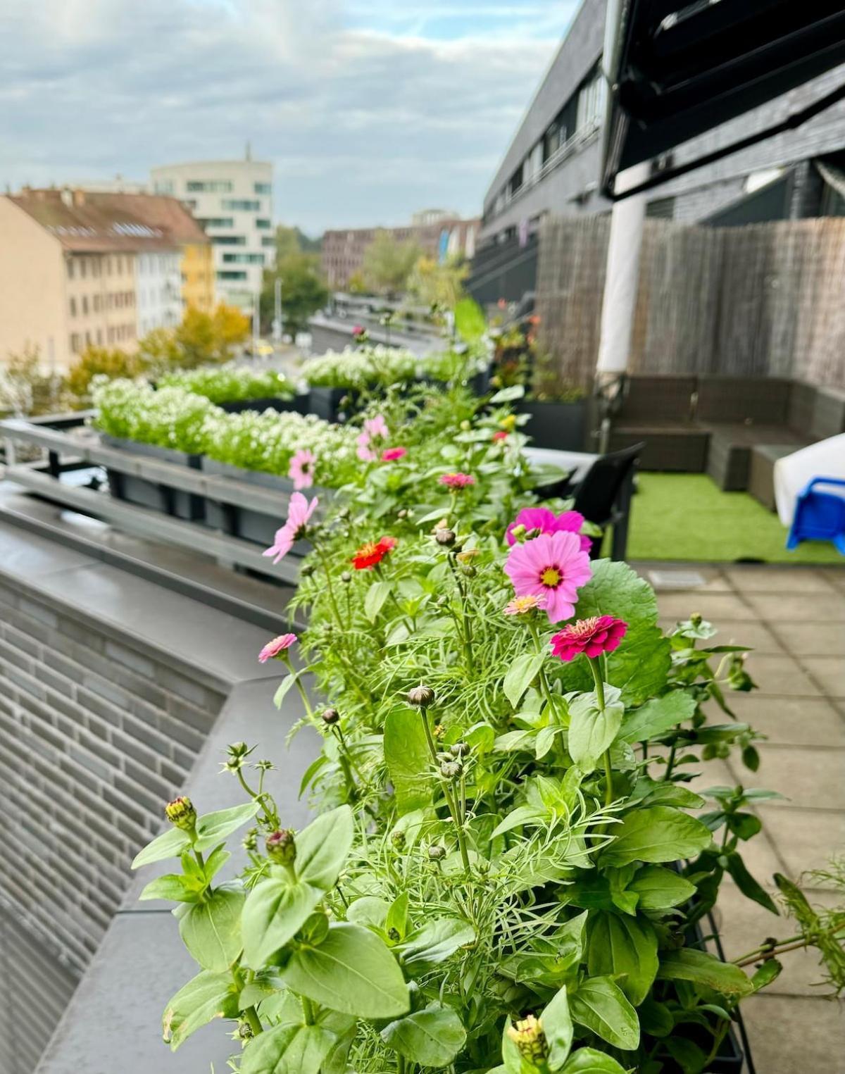 Penthouse 5 Room Duplex 3 Terraces, Near Center And Rhine Basel Eksteriør bilde