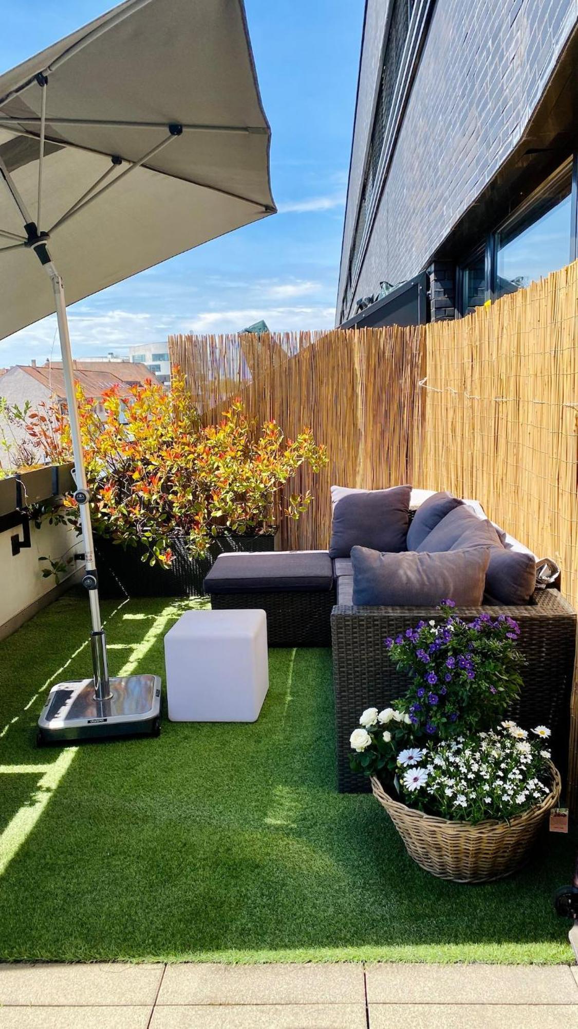 Penthouse 5 Room Duplex 3 Terraces, Near Center And Rhine Basel Eksteriør bilde